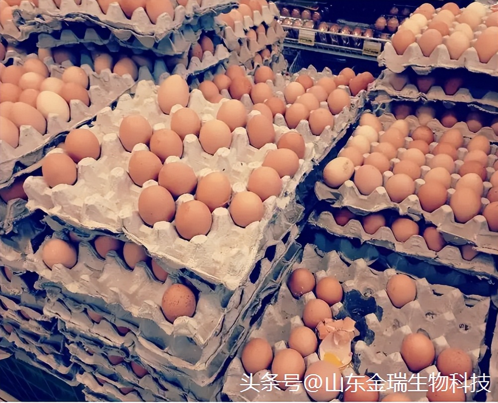 蛋鸡为什么下蛋小,蛋鸡出现软蛋是什么原因