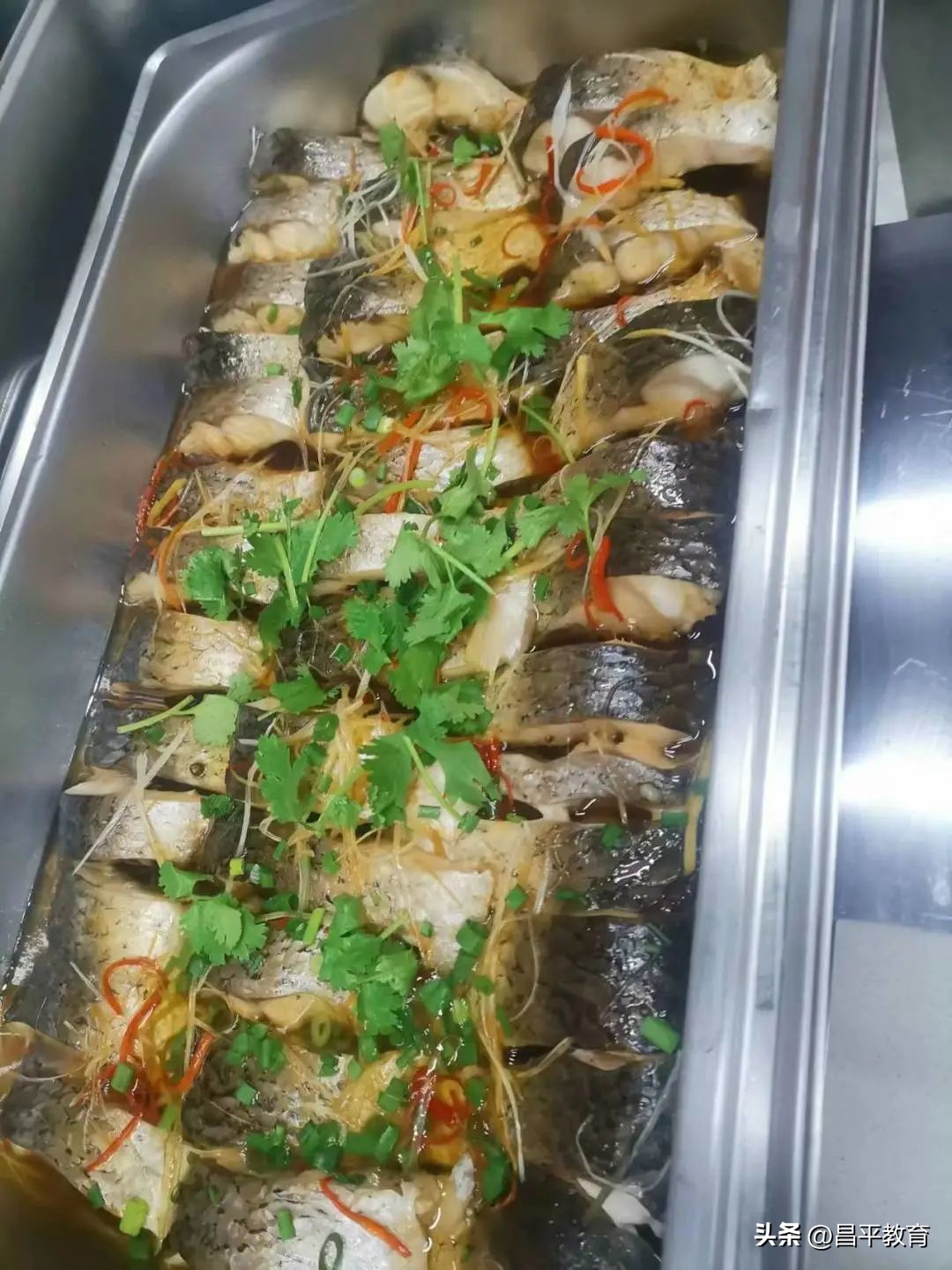 舌尖上的校园张家港,舌尖上的校园短片