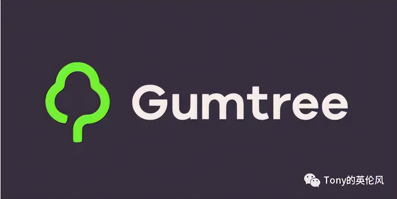 国外养猫攻略,英国短毛猫普通家庭怎么养猫