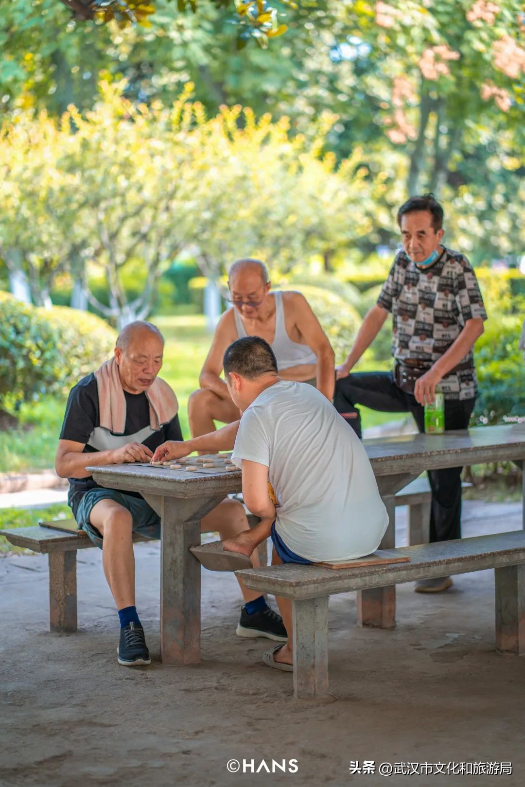 离武汉人最近的湿地，家楼下的10个宝藏小湖