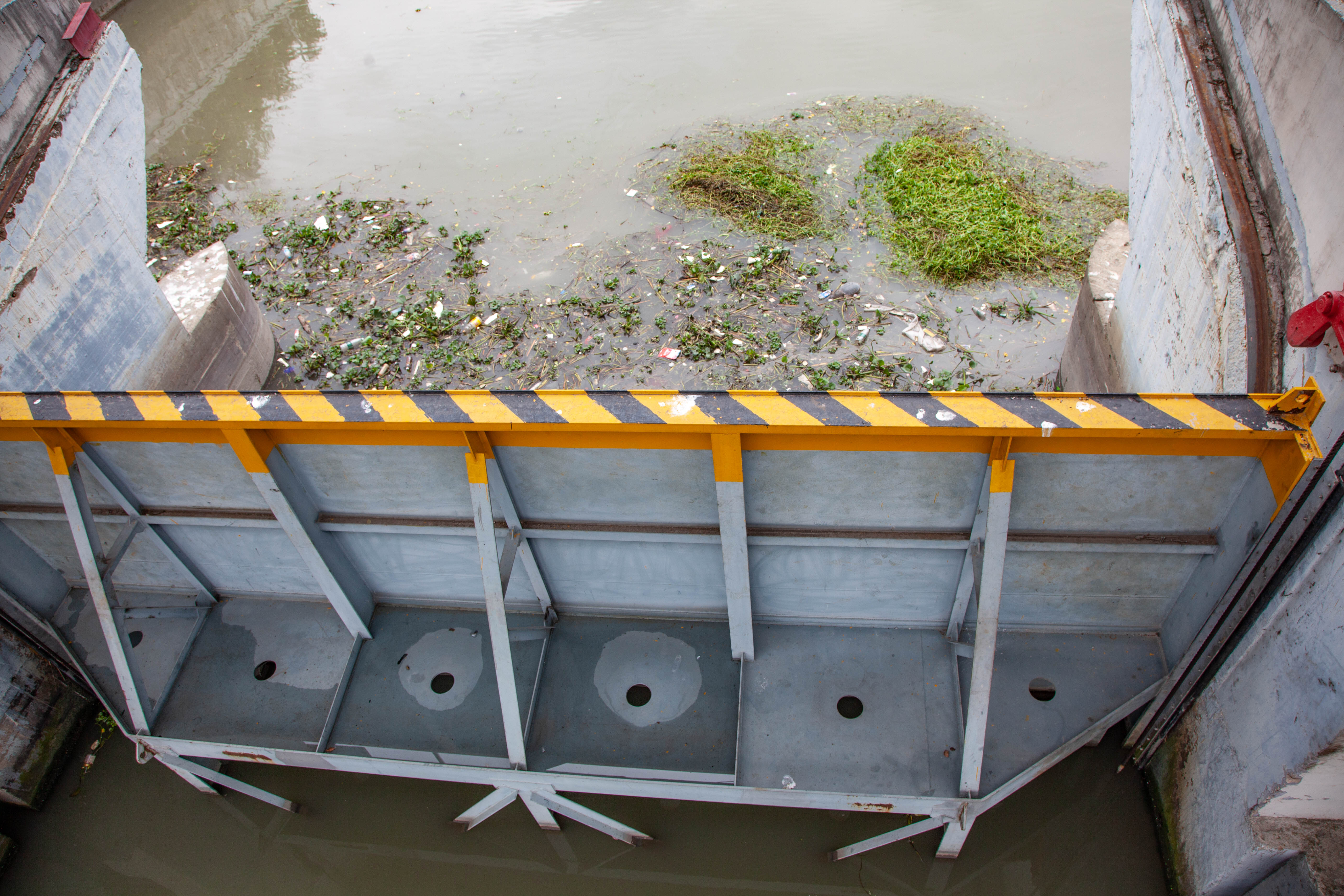 宝山顾村历史,上海宝山顾村老街
