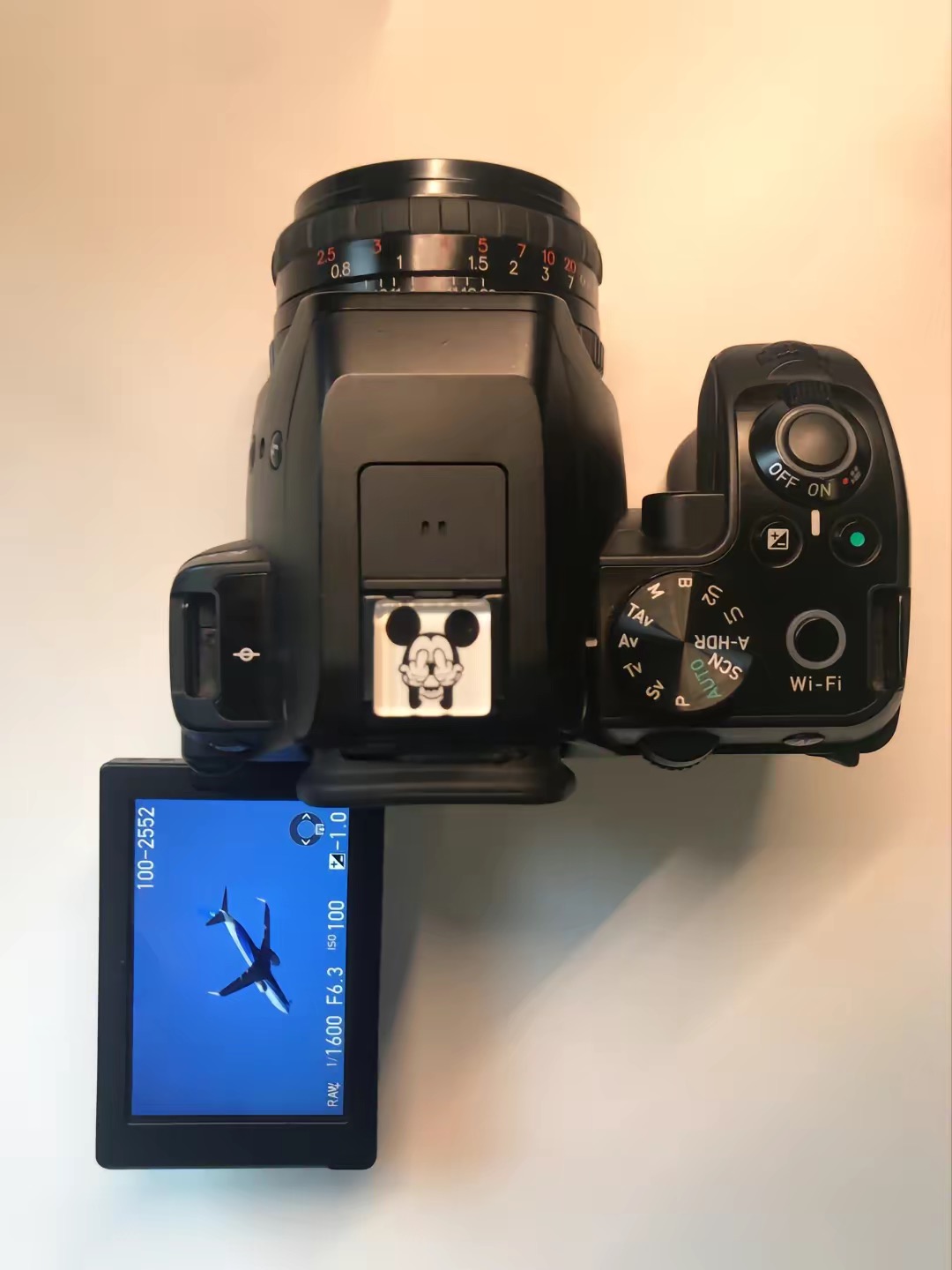 3000左右打鸟镜头推荐,二手单反推荐500元以下拍人像