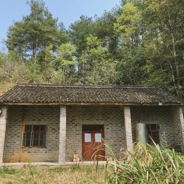 清明节上坟可以拍照吗,清明节上坟能拍照吗