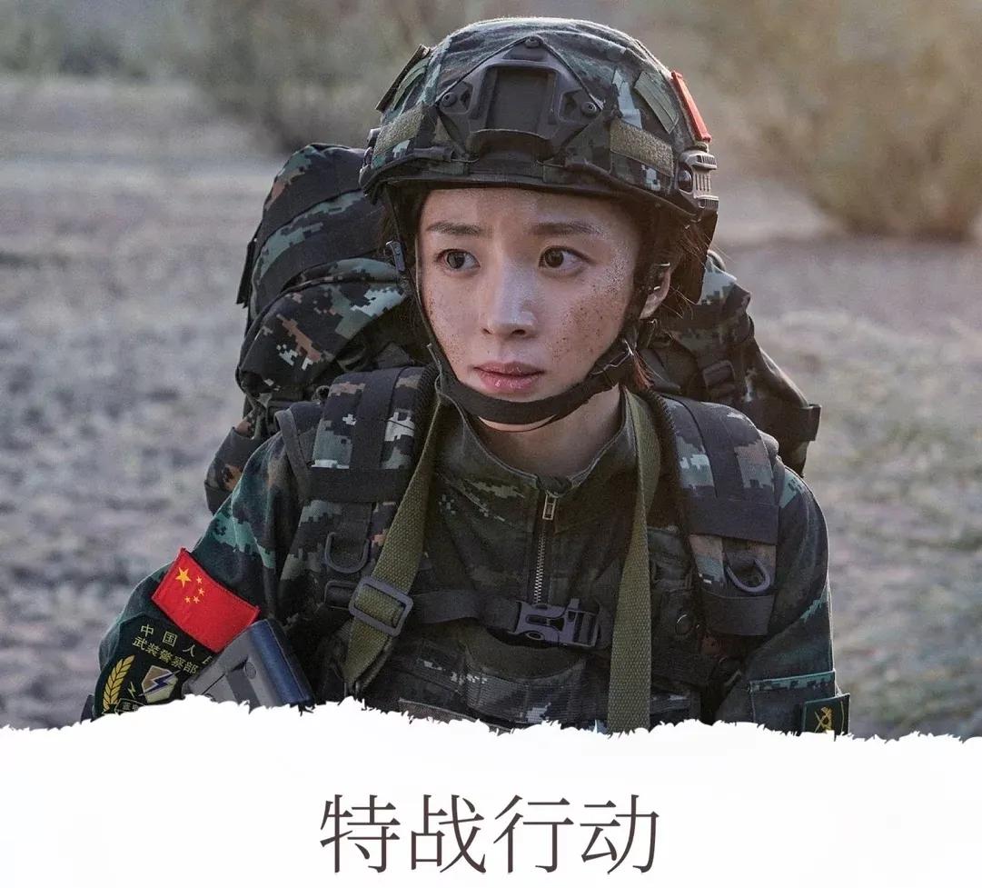 最好看的国产特种兵电视剧,十部顶级国产特种兵电视剧