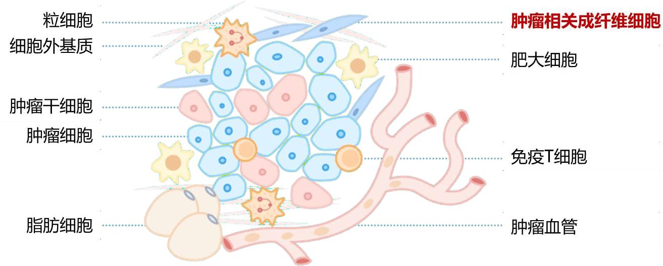 肿瘤的元凶是什么原因,肿瘤罪魁祸首就是颈椎