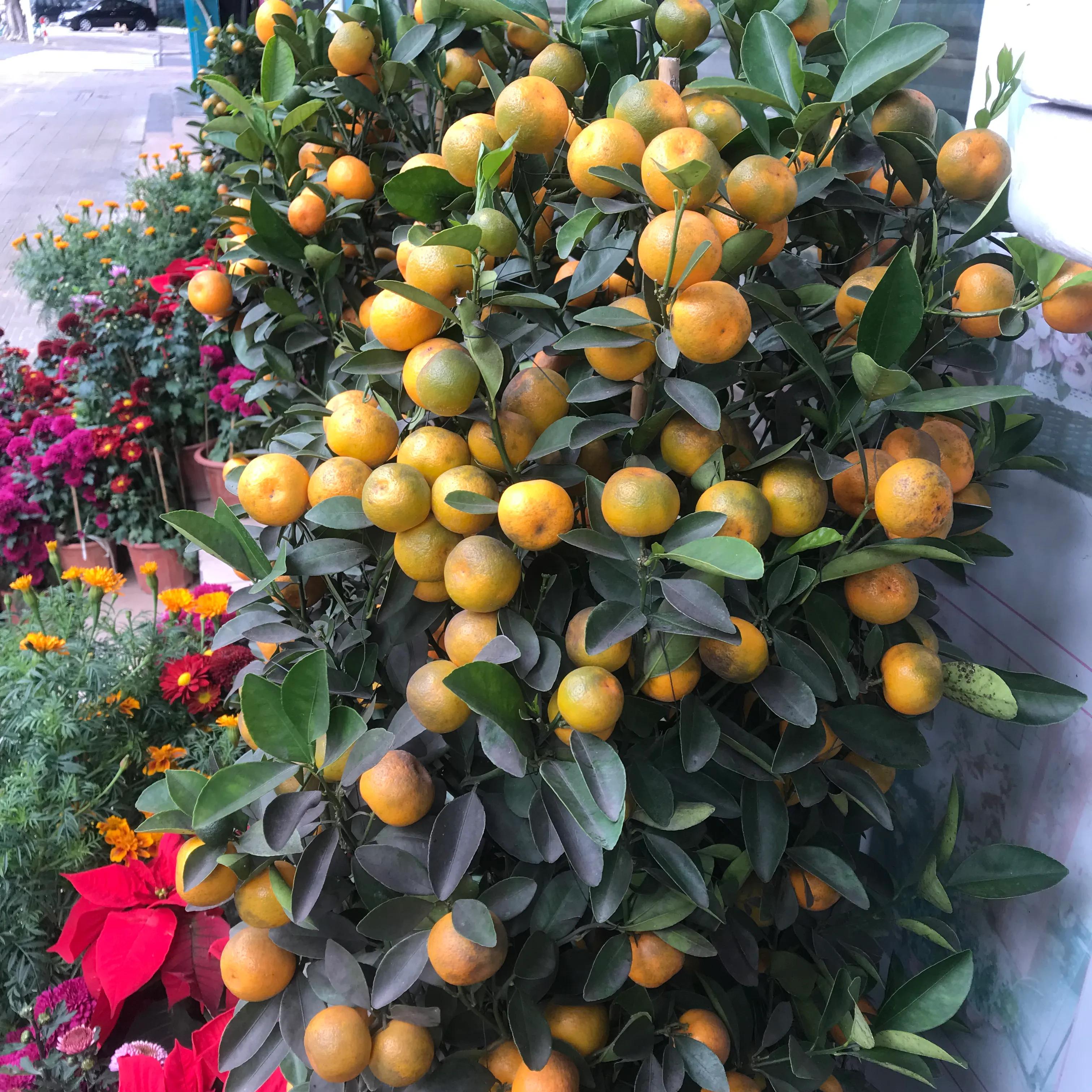 什么会影响企业具体的营销策略,企业线上线下创新营销渠道策略