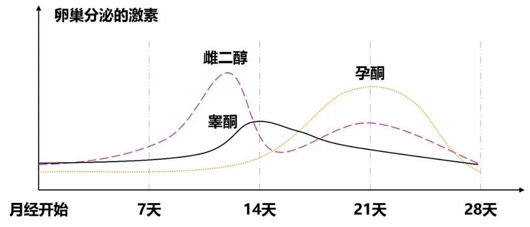 月经期性激素6项正常值参考范围,性激素6项多少钱大概几天出结果
