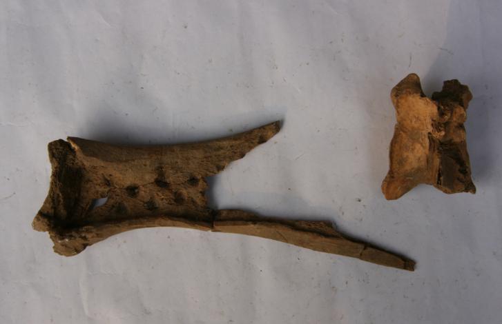 峰峰老宅,峰峰古镇老宅