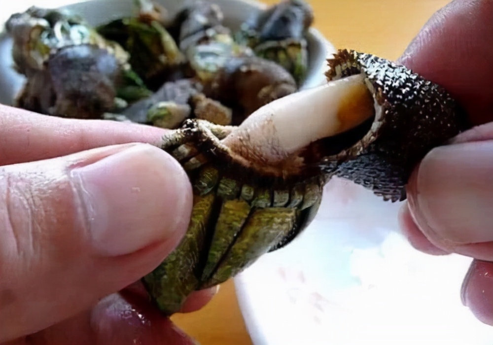 全球十大名贵海鲜,世界上最贵的的十大海鲜