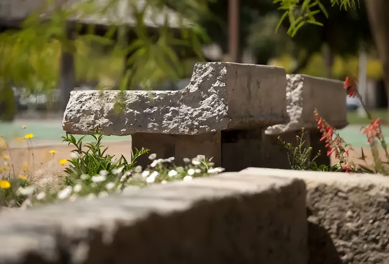 大学校园绿化设计,现代校园绿化规划设计