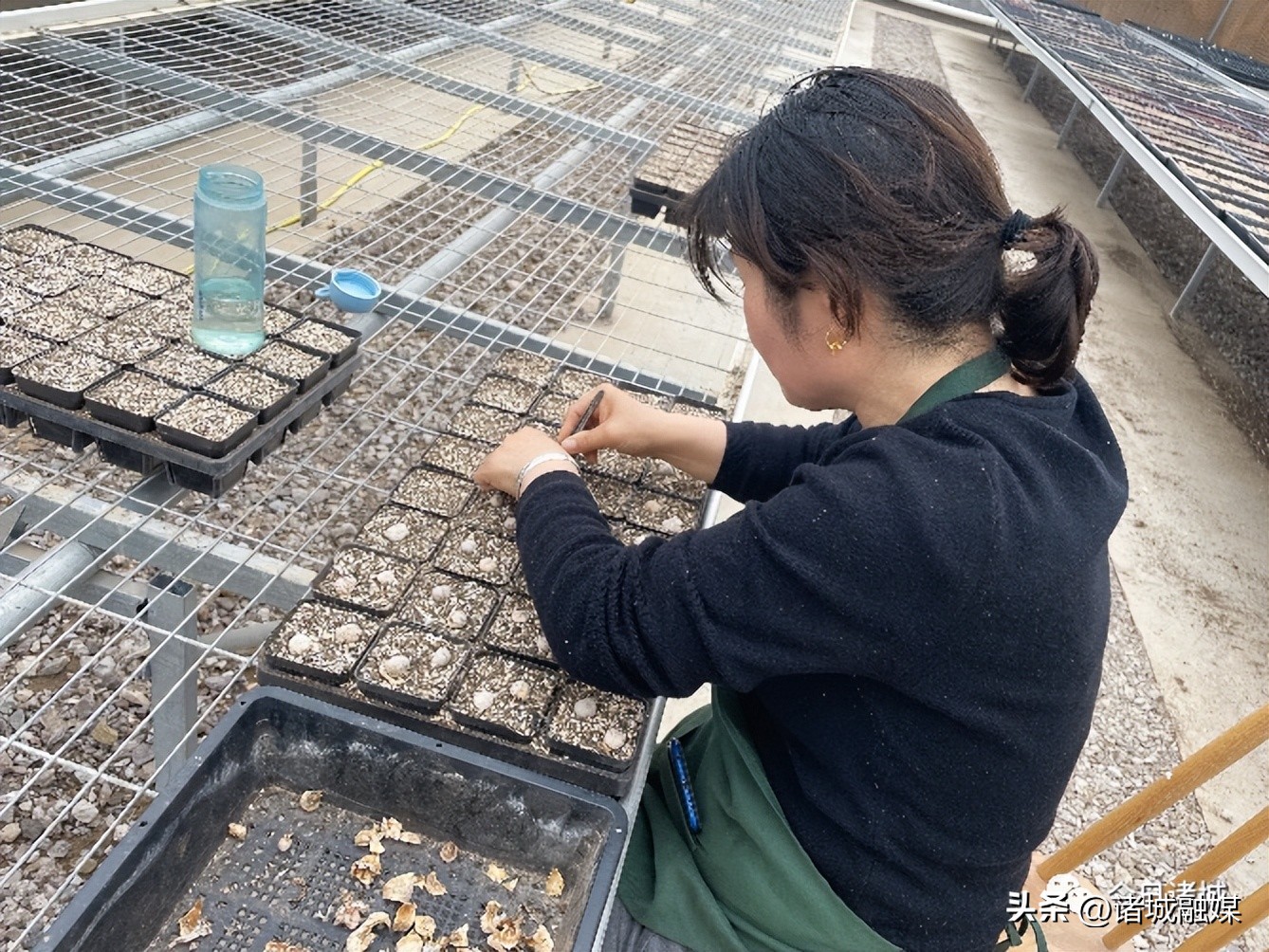 诸城城区哪个街道发展得好,诸城哪个街道发展有潜力