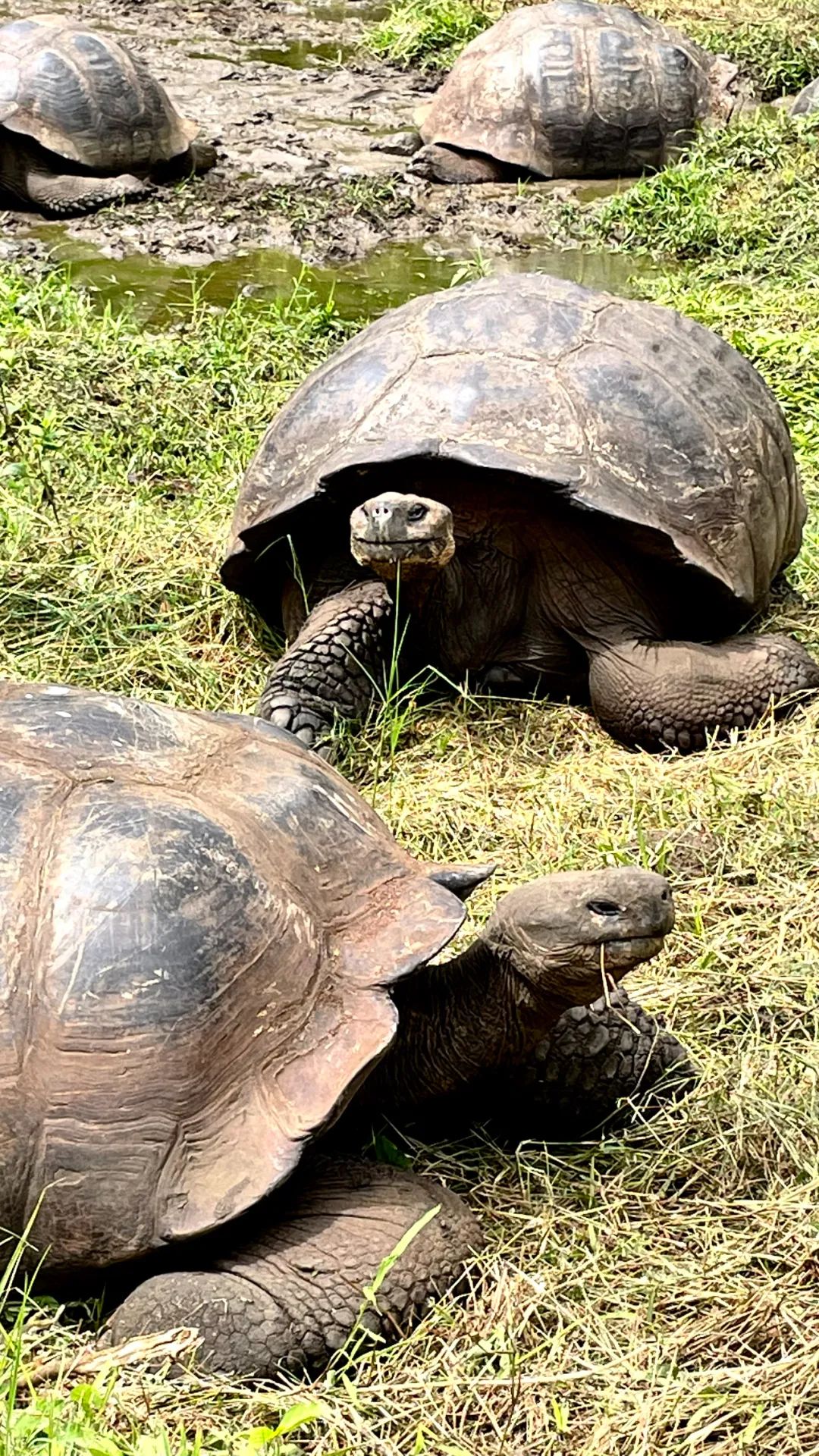 去神秘小岛探险,去神秘岛探险视频