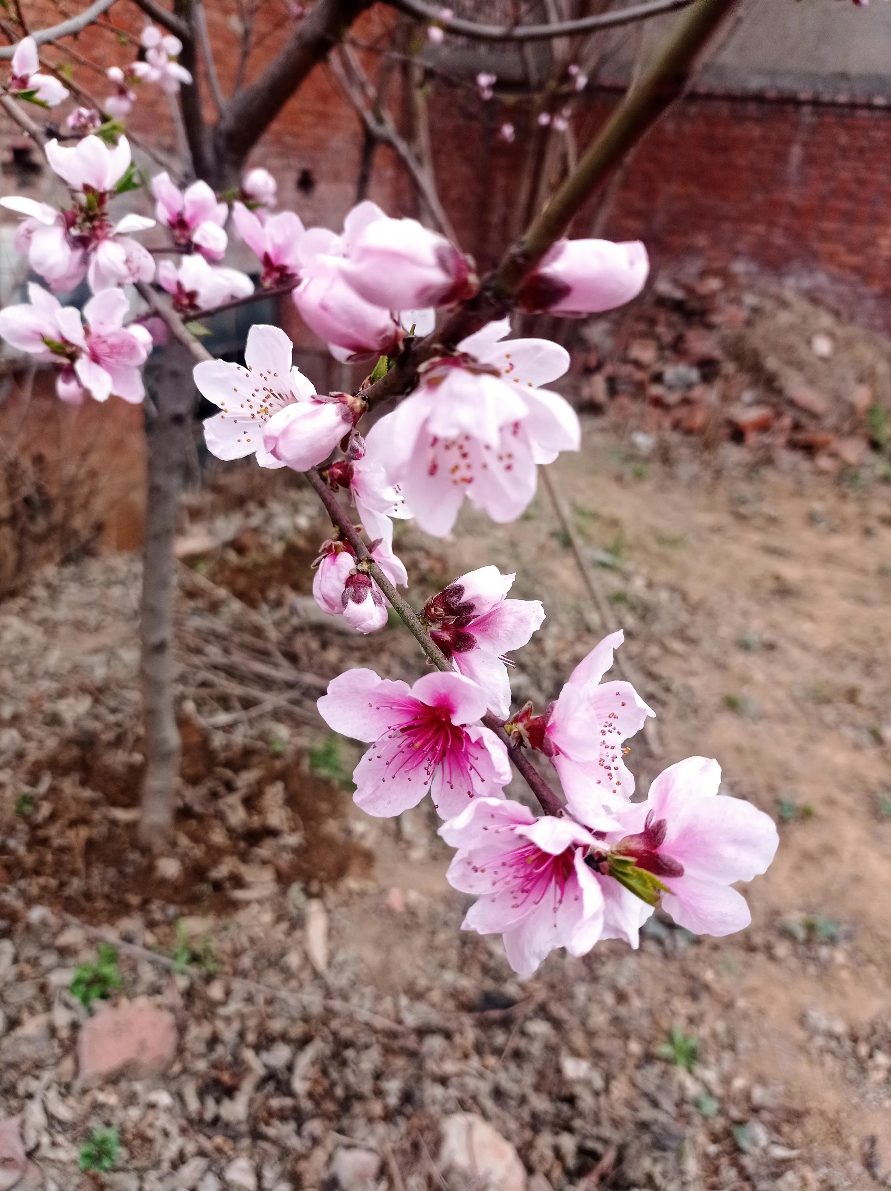 恒心意味着什么,恒心和毅力是成功之本