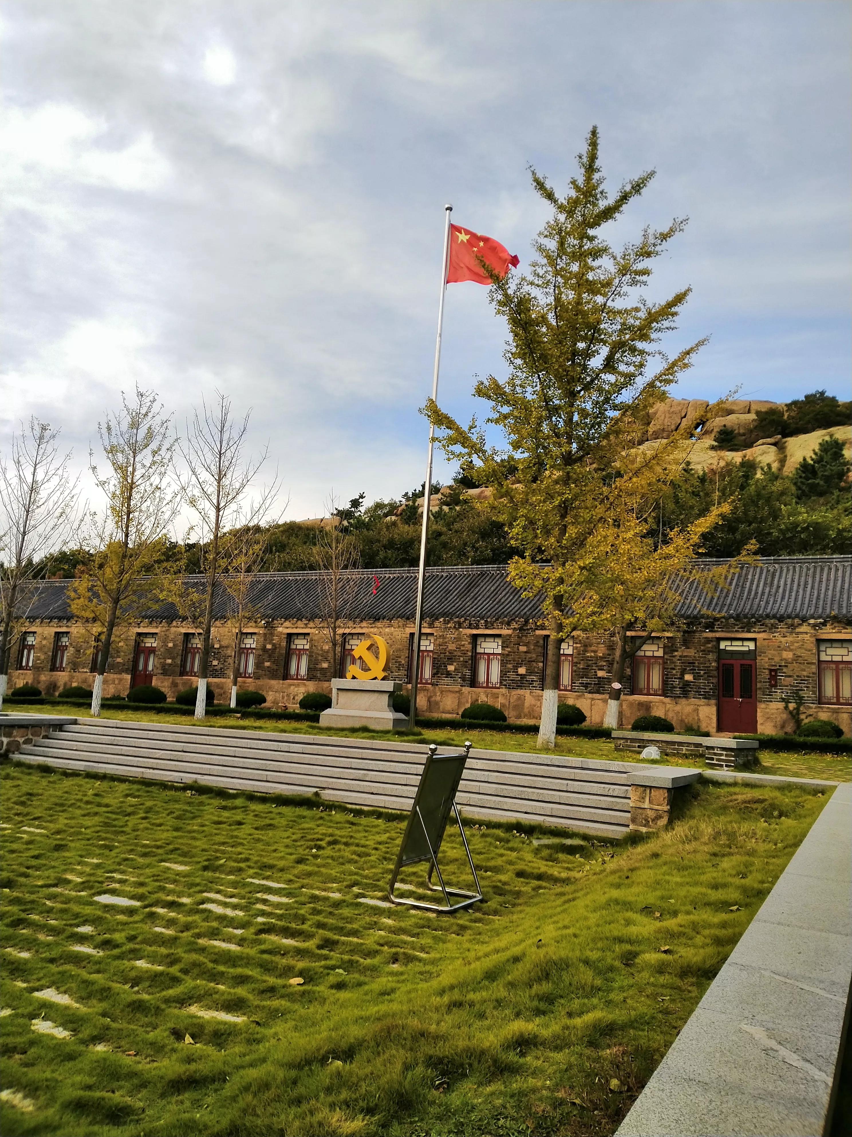 论述律师职业道德基本准则,律师执业纪律和道德规范学习心得