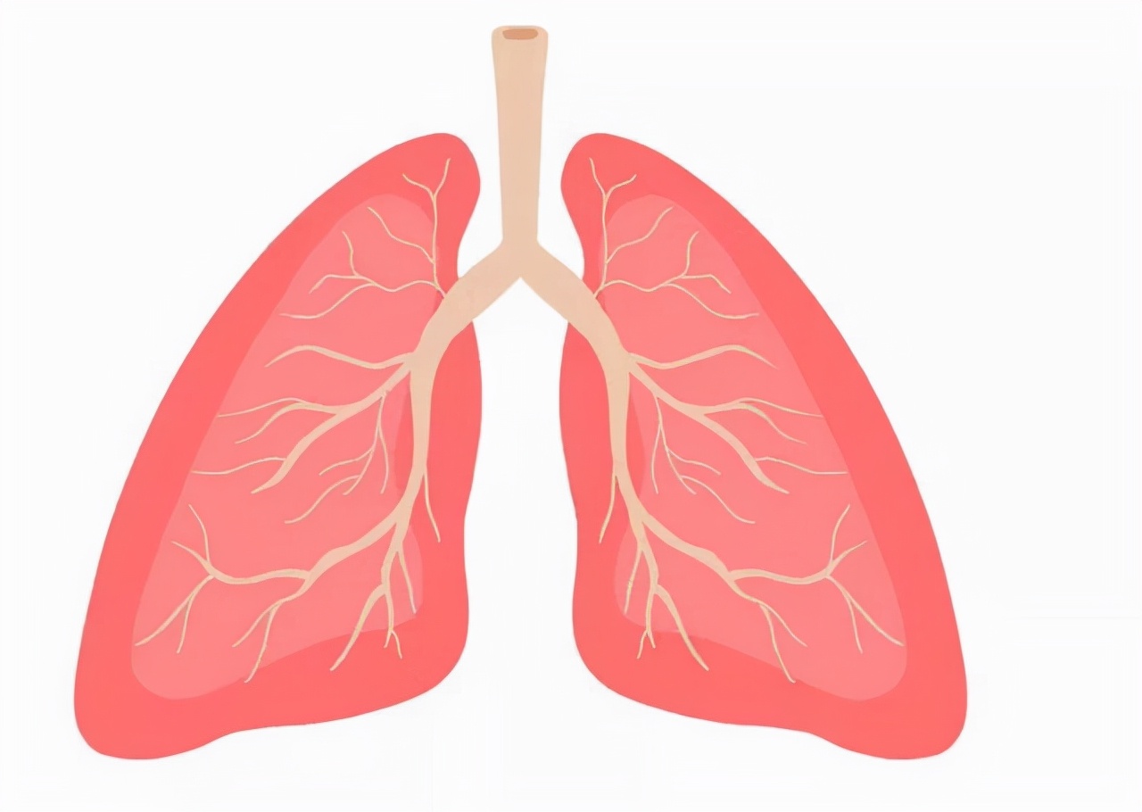 支气管炎咳痰中医治疗,支气管炎当成感冒来医可以吗