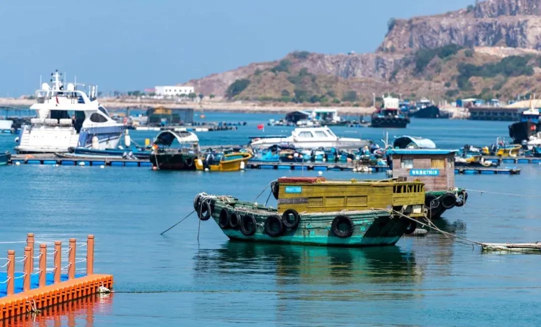 广州海岛旅游攻略一日游路线,珠海一日往返海岛旅游攻略