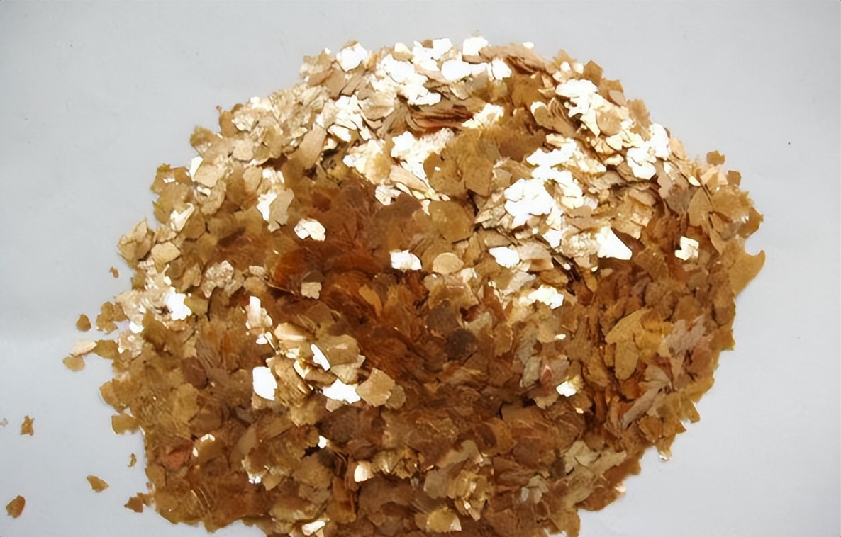 福建海边出现神秘金片，遭渔民哄抢一空，专家调查后：金片不简单