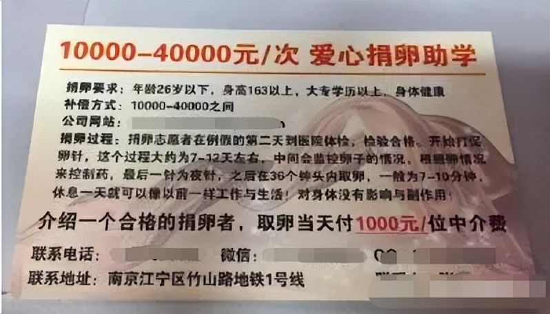 高校女厕中见不得光的“高薪兼职”，让多少女大学生后悔半生