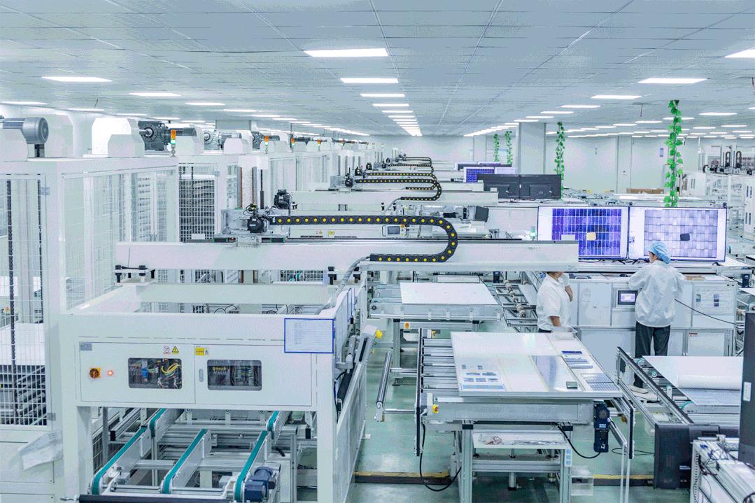 新霖飞投资有限公司,新霖飞光伏发电