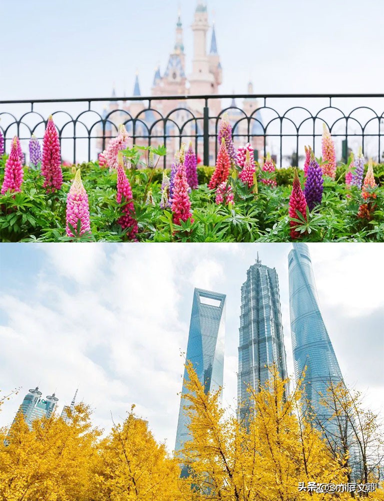 东方巴黎上海旅游攻略,上海欧式旅游攻略