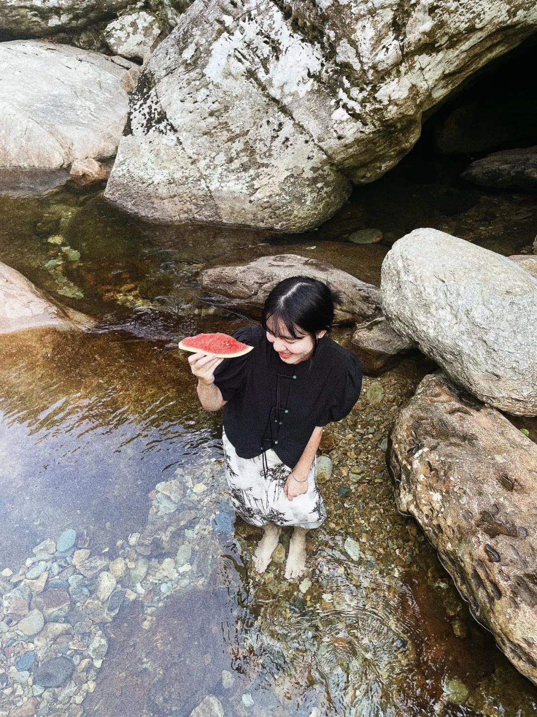 猫咪走太空步原视频最火,猫咪壁虎漫步视频