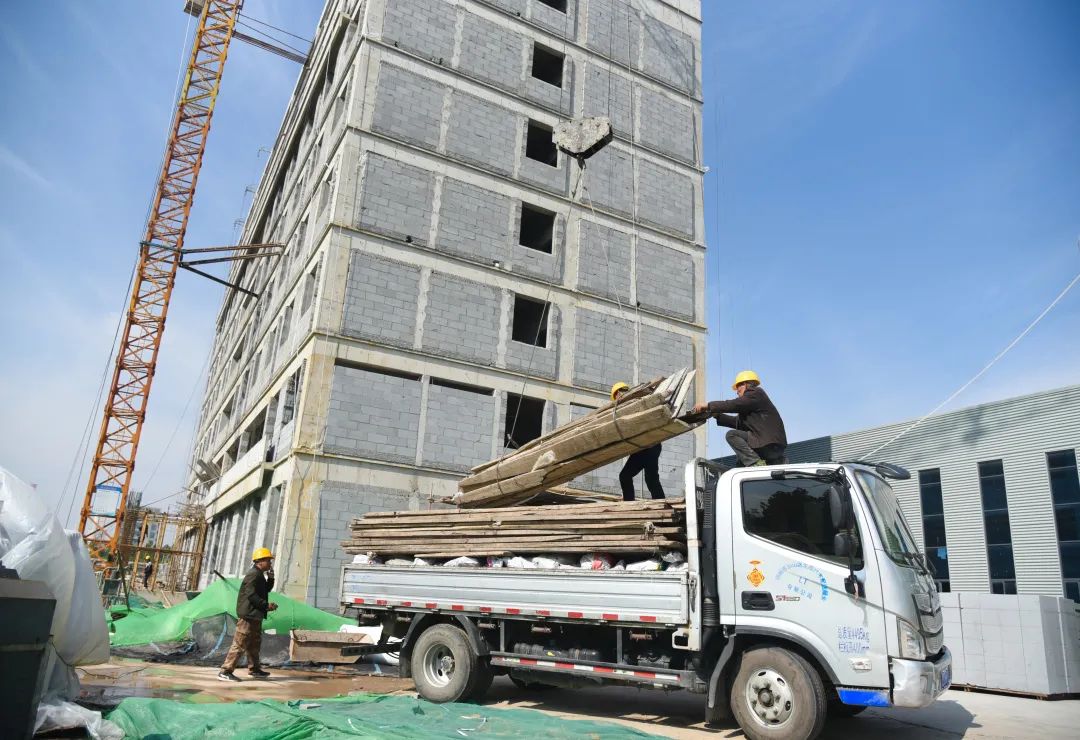 干出项目“加速度”，打造邯郸肥乡“种业高地”