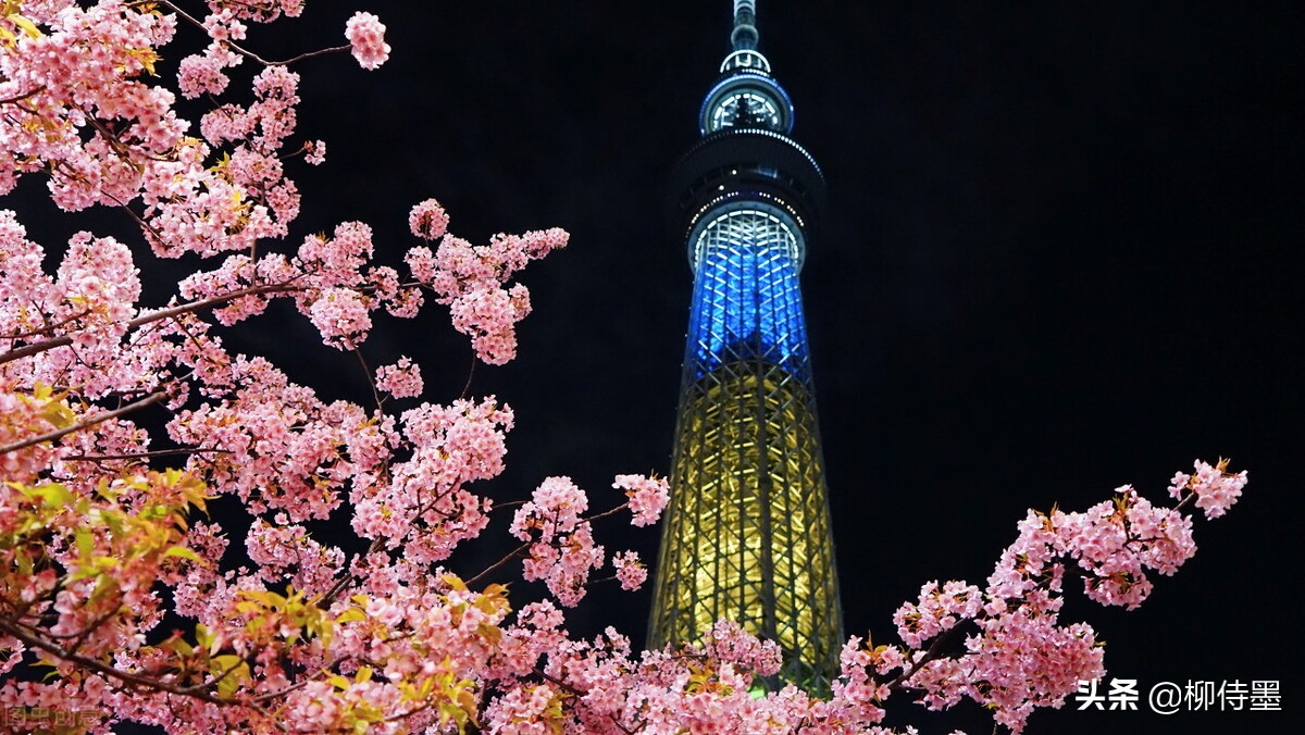 手机摄影照片细节拍摄技巧,手机摄影拍照的五大误区