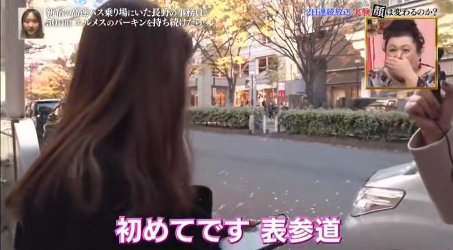 背铂金包,日本女生背帆布包