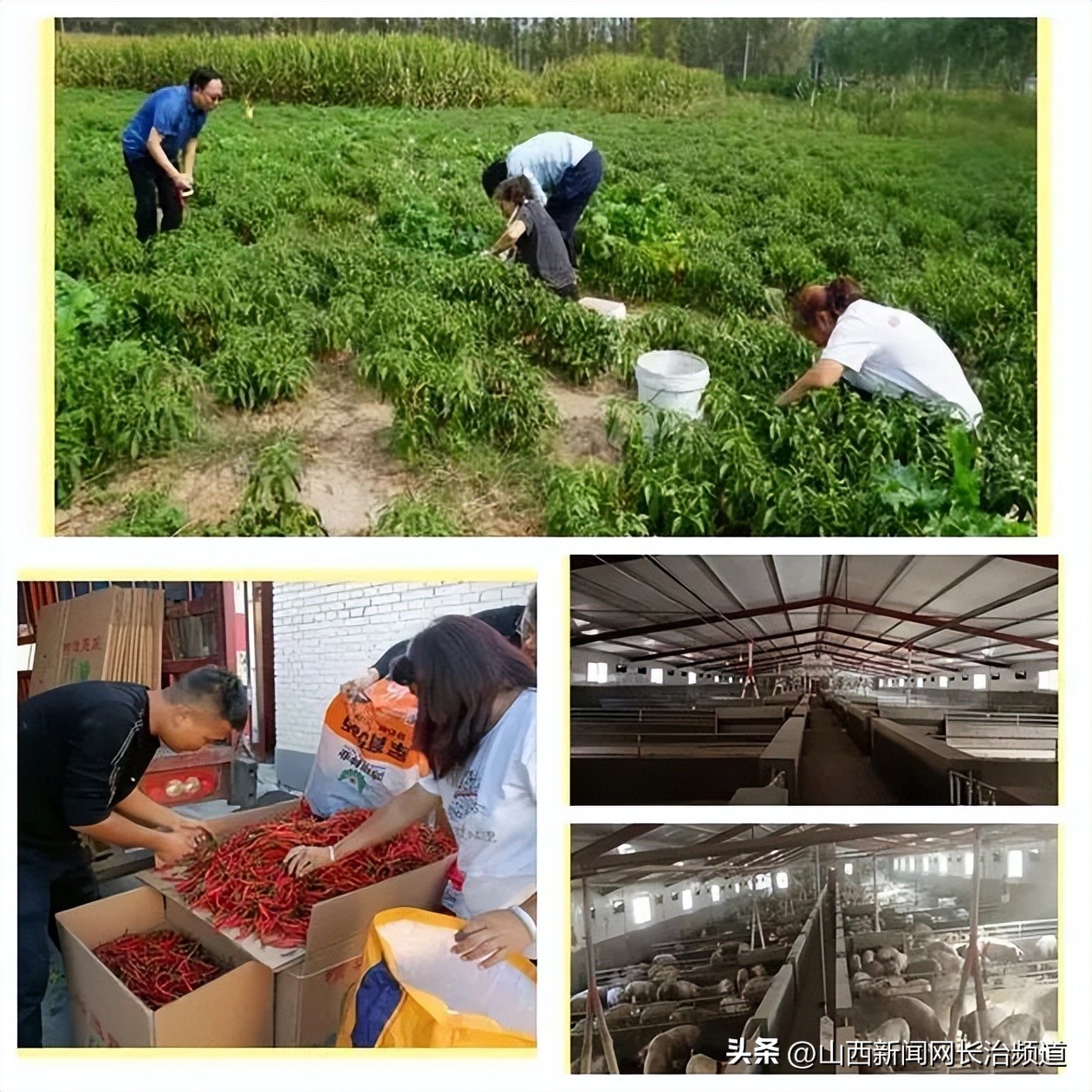 南沟村脱贫攻坚,山西省武乡县故城镇南沟村