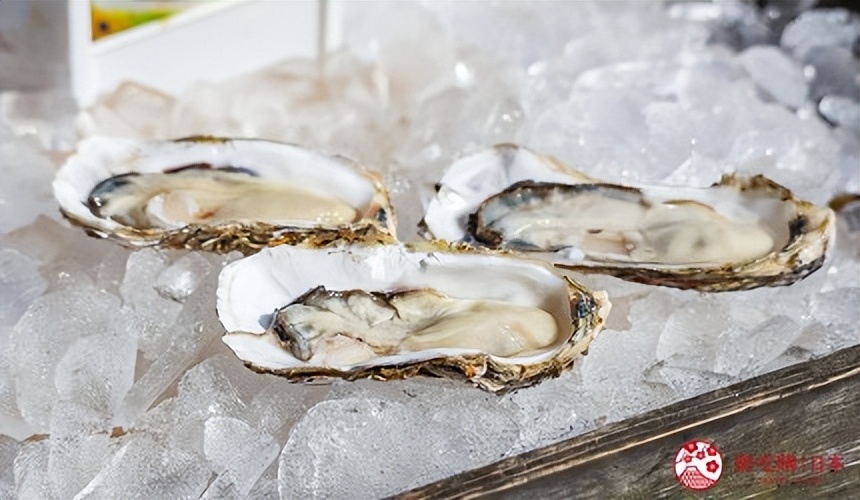 茨城旅行,茨城和茨城县