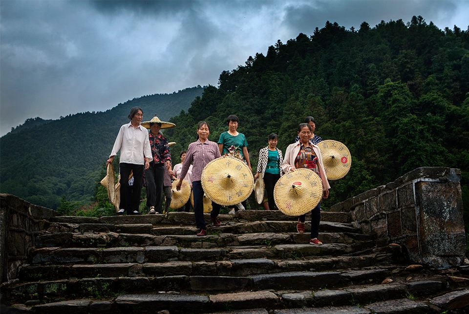 说文解字第661课,说文解字第142课