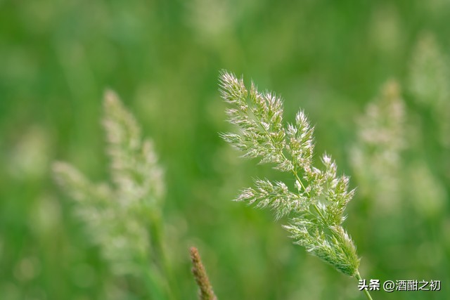 乡土小说：男欢女爱（二十）