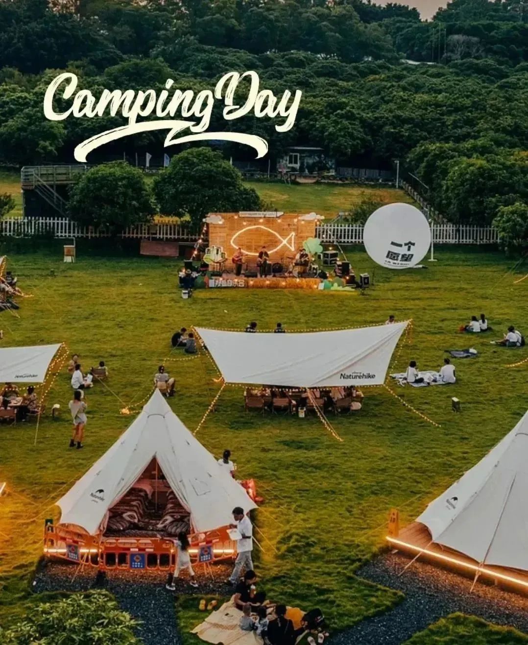 东营森林公园露营节,东营露营节