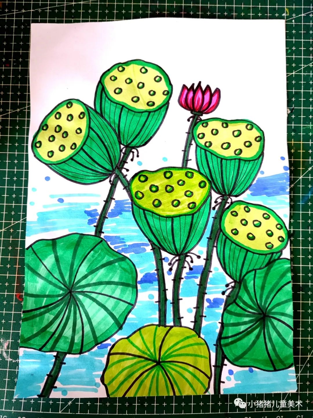 荷花莲蓬文案短句干净,荷花莲蓬