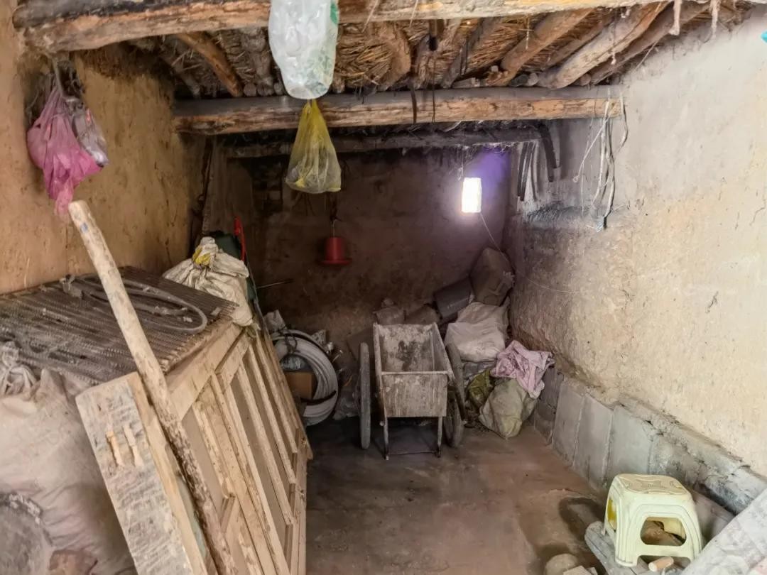 彭洪菊拐卖儿童事件 (人贩子彭洪菊案件)