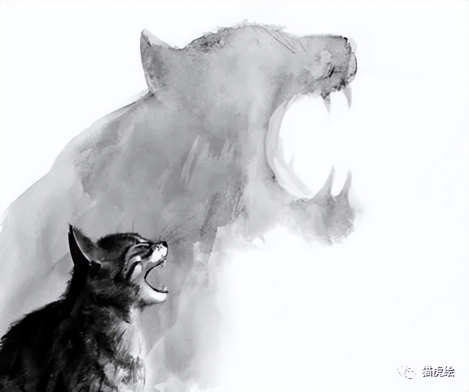 2022猫虎绘暑假手绘班招生简章「线上+线下」