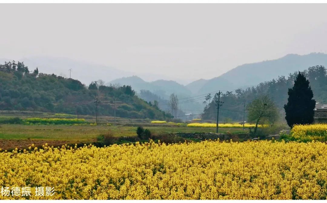 老兵泪目文：电话，诉说那亲情岁月（周晓林）