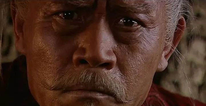 把皇帝演活,把皇帝演了个遍