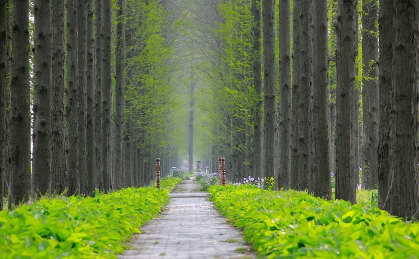 南京遛娃免费景点有哪些,南京免费景点一日游攻略
