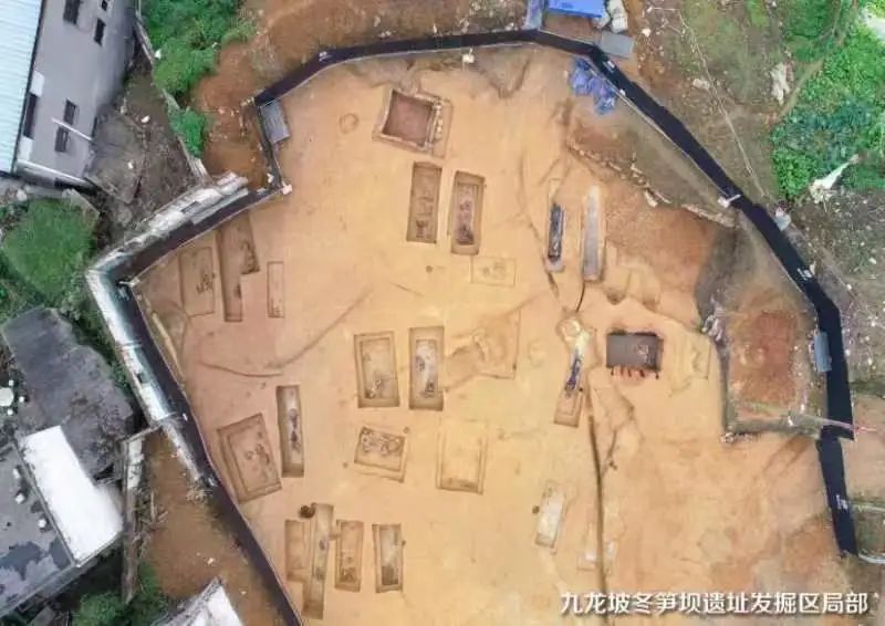 重庆冬笋坝遗址在哪,重庆冬笋坝文化遗址