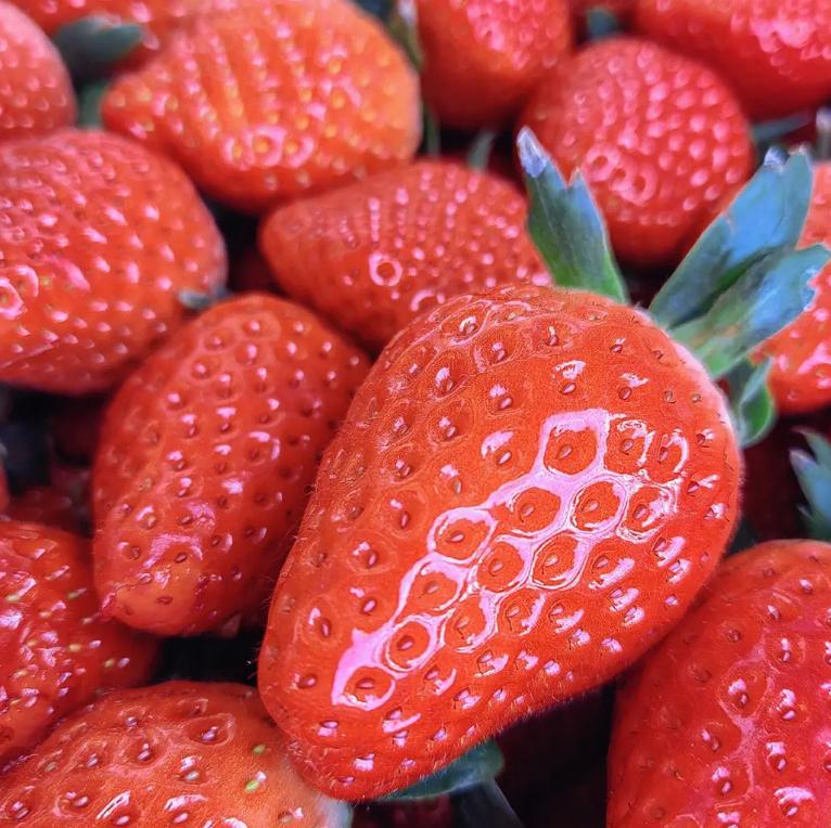 草莓批发的套路,市场上卖的草莓哪三种不能买