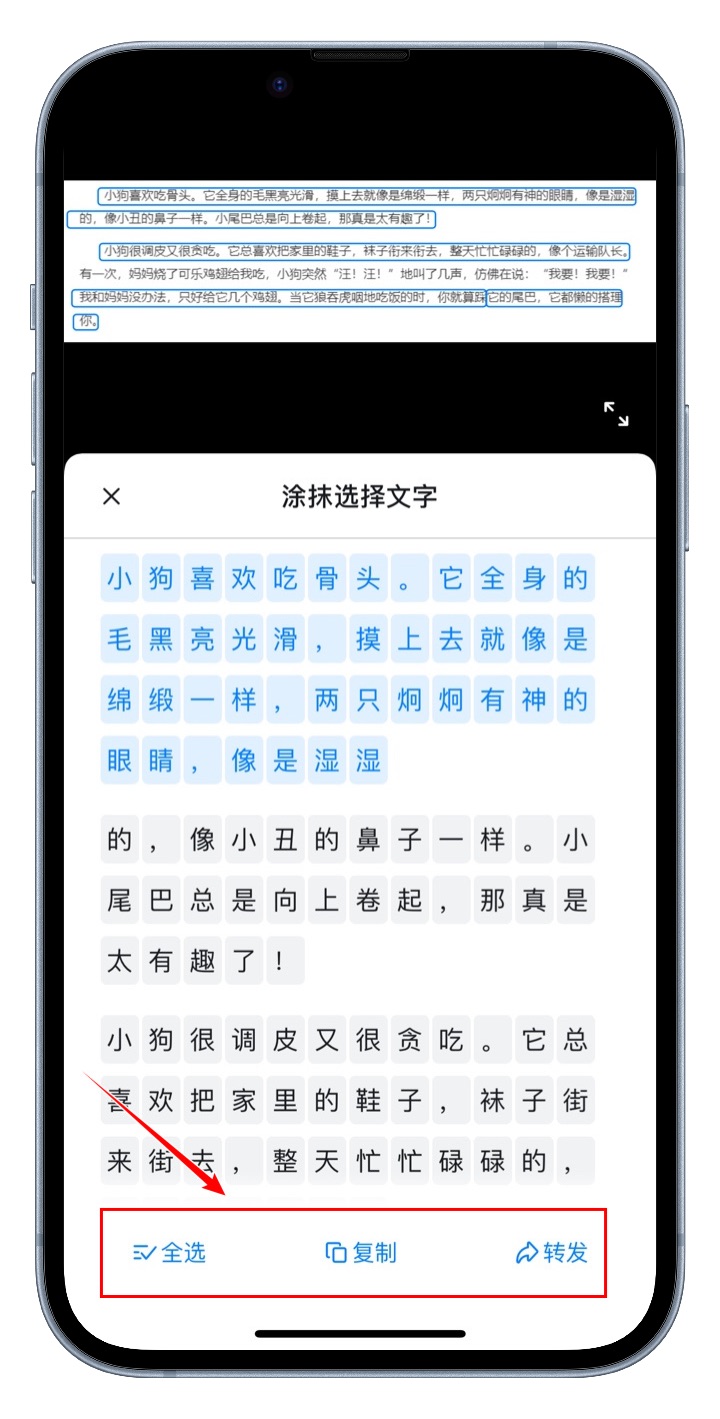怎么快速提取图片上的文字,怎样快速的提取图片上的文字