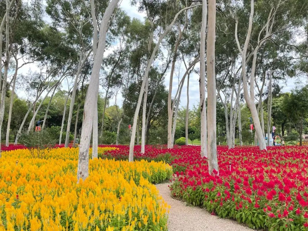 厦门秋游最佳去处,厦门周边秋游