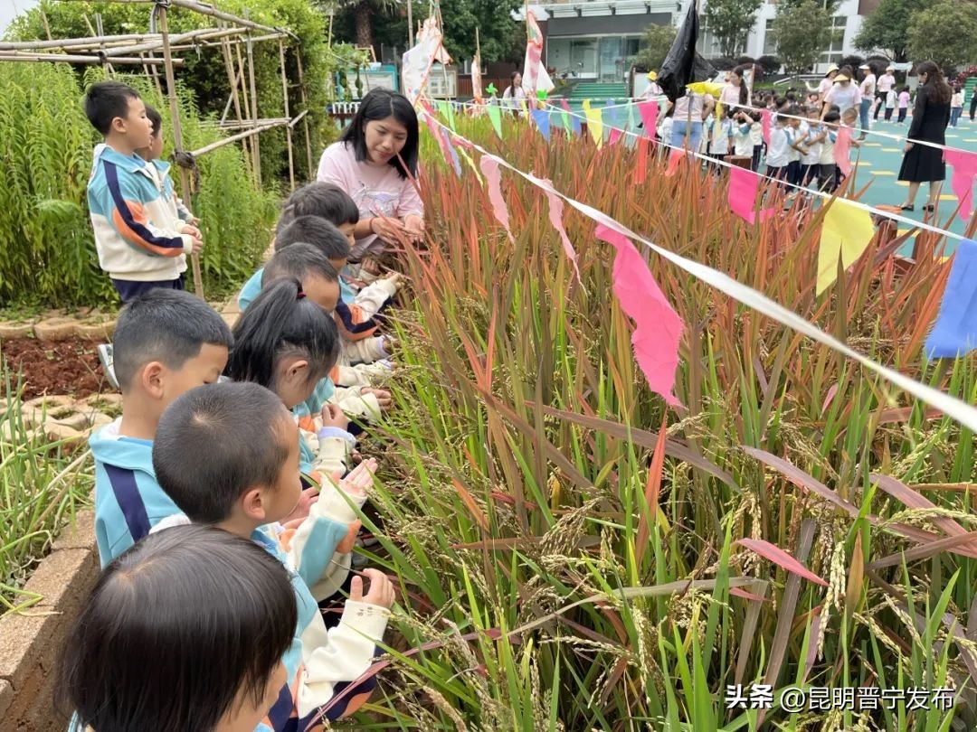 一级乙等幼儿园,楚雄一级一等幼儿园