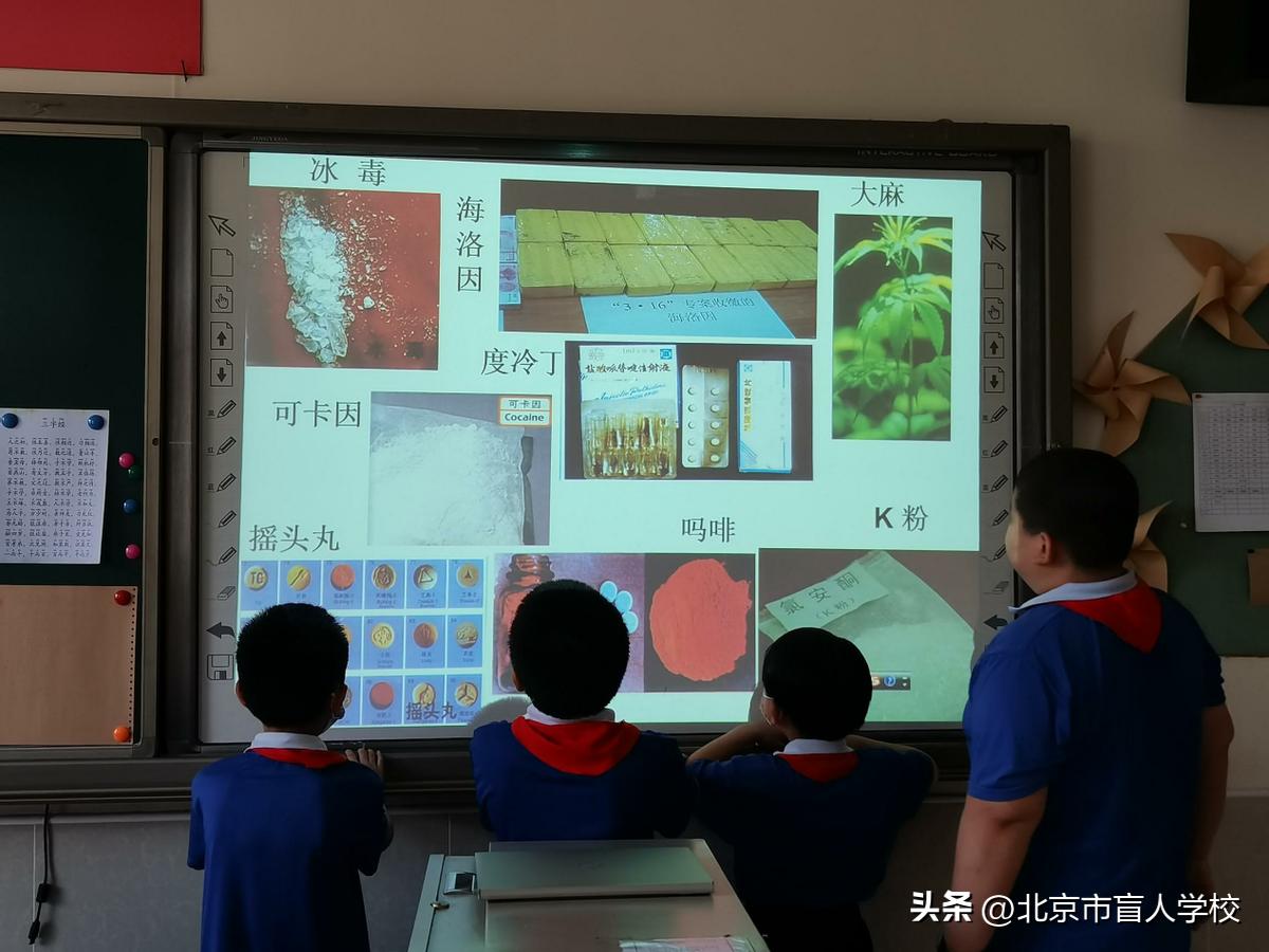 生命如花灿烂朗诵完整版,生命灿烂如花