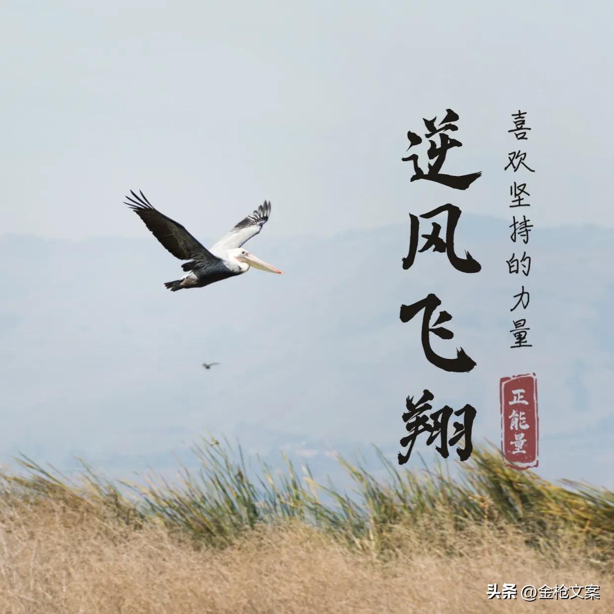 创业励志心路历程文案,选择了创业就不要后悔的励志文案