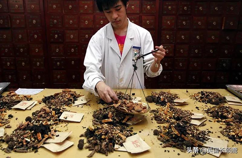 养生大法,养生法