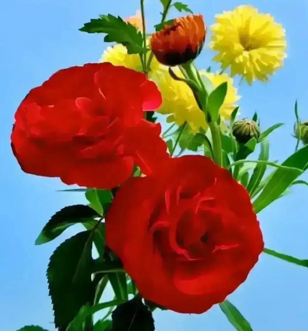 怎么调整倒霉运的心态,怎样才能摆脱目前的倒霉运