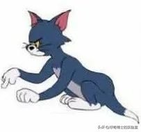 《猫和老鼠》其实不是儿童动画片而是成人片