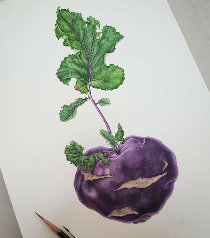 初学画画入门零基础直播,初学画画到底应该学什么